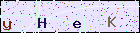 效劳支持_EVO视讯